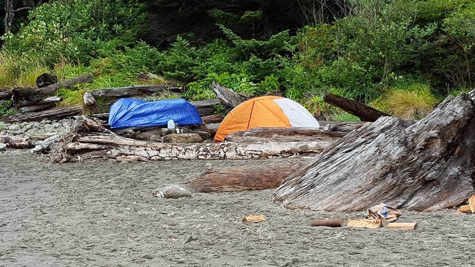 Camper-submitted photo at Second Beach — Olympic National Park near Forks, WA