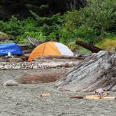 Review photo of Second Beach — Olympic National Park by Shay F., September 28, 2018