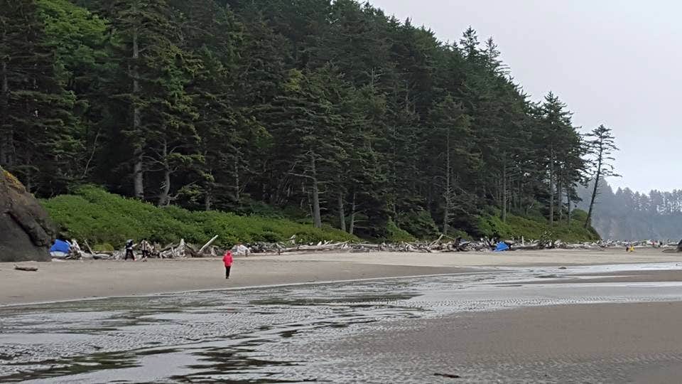 Camper-submitted photo at Second Beach — Olympic National Park near Forks, WA