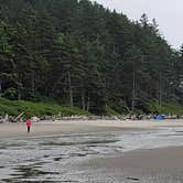 Review photo of Second Beach — Olympic National Park by Shay F., September 28, 2018