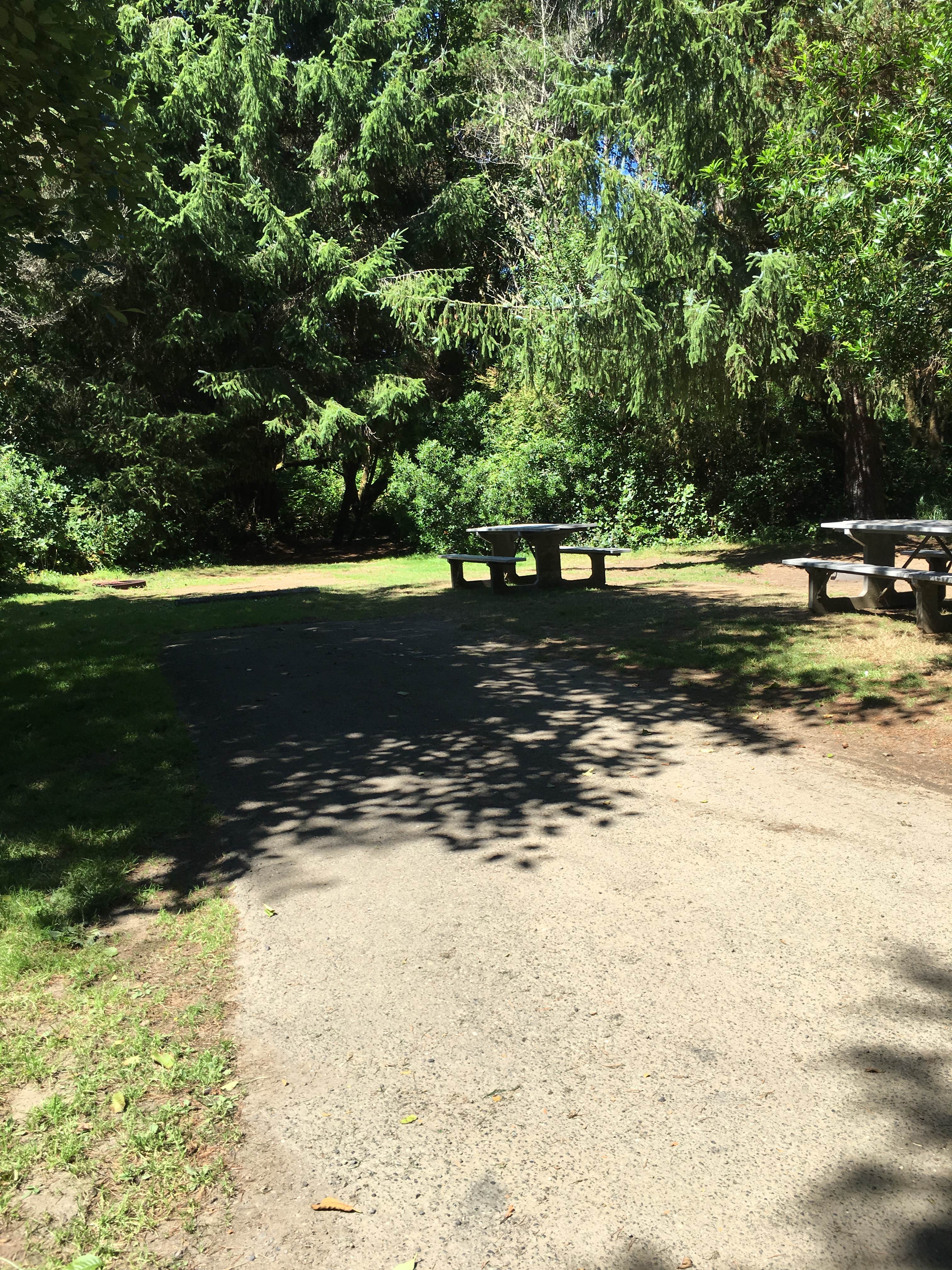 Camper-submitted photo at Ocean City State Park Campground near Ocean Park, WA