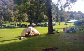 Dmitri W.'s photo at Kōkeʻe State Park Campground near Kapa‘a, HI