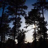 Review photo of Prescott National Forest Dispersed by Joffrey H., September 28, 2018