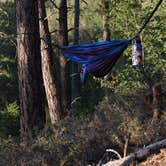 Review photo of Prescott National Forest Dispersed by Joffrey H., September 28, 2018