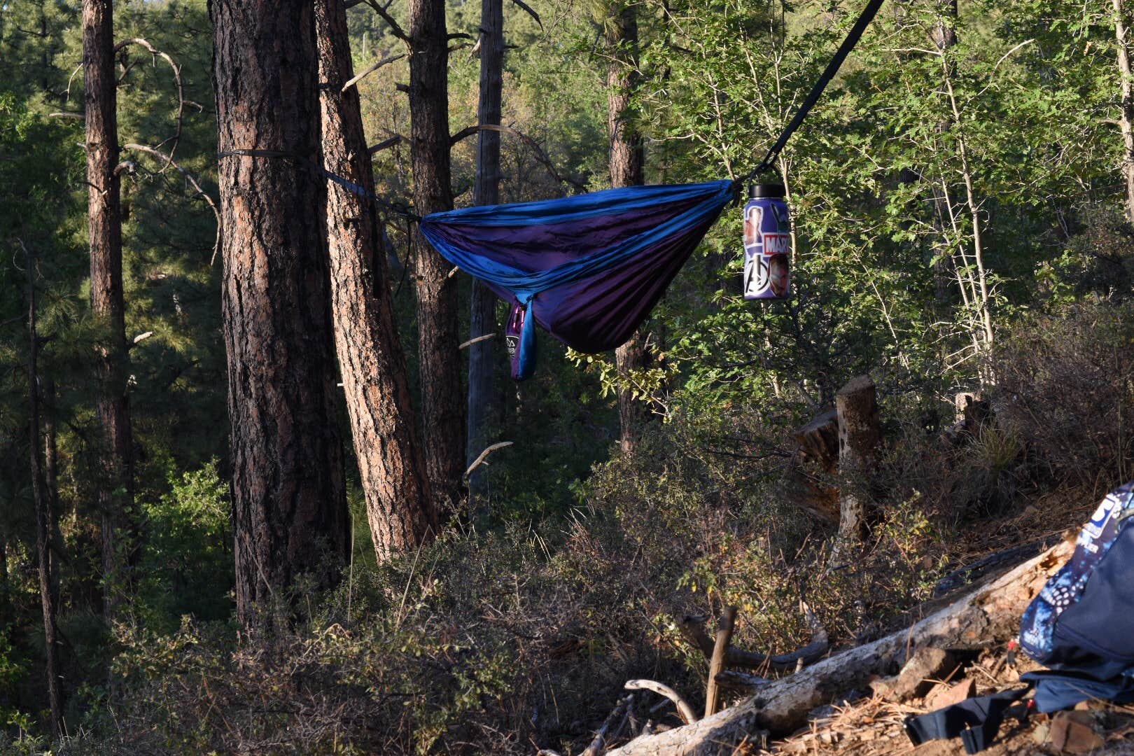 Camper submitted image from Prescott National Forest Dispersed - 5