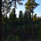 Review photo of Prescott National Forest Dispersed by Joffrey H., September 28, 2018