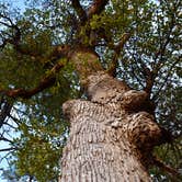 Review photo of Prescott National Forest Dispersed by Joffrey H., September 28, 2018