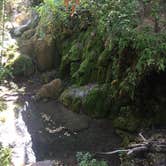 Review photo of North Area Primitive Site — Colorado Bend State Park by Michelle G., September 28, 2018