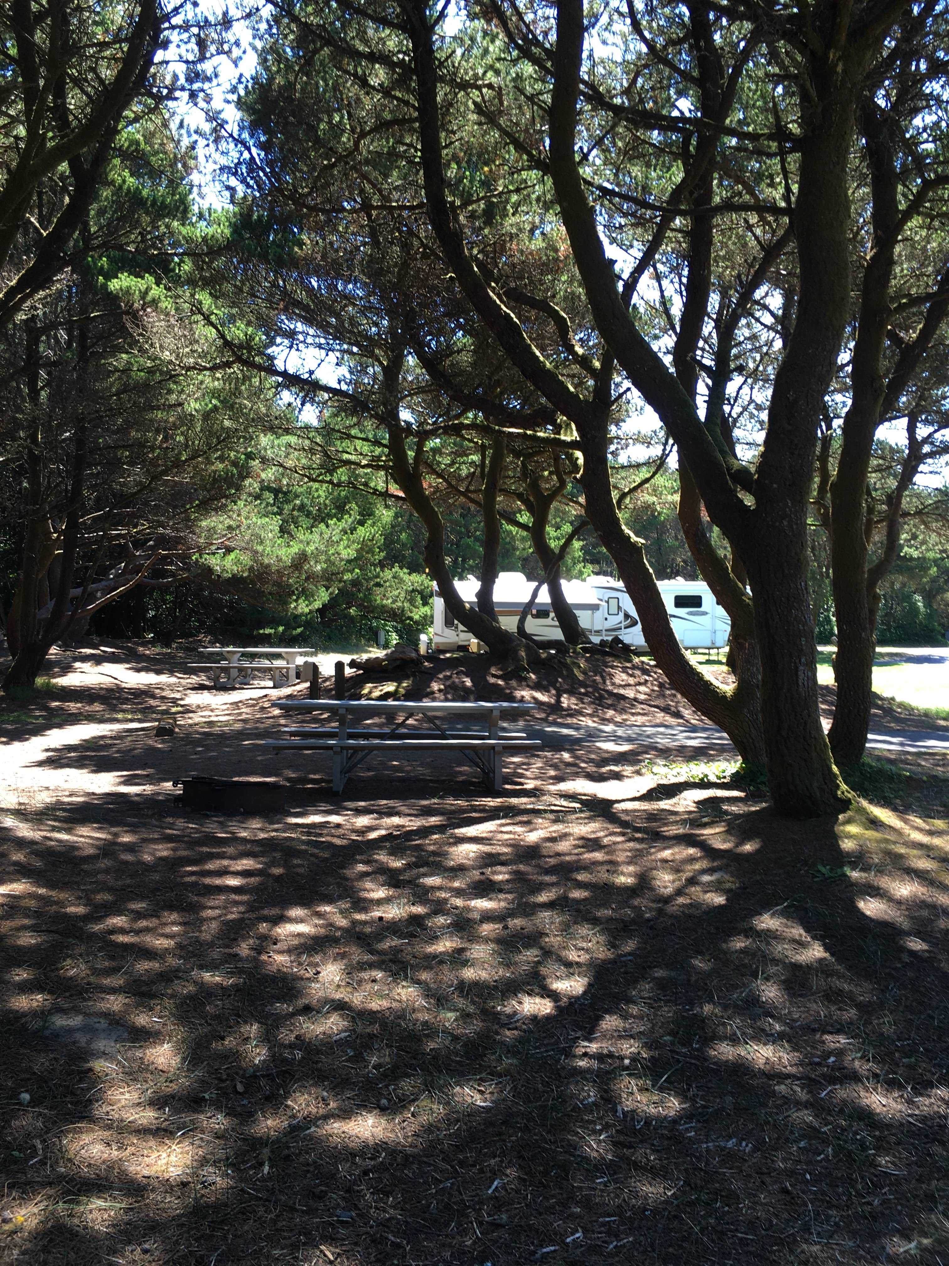 Camper submitted image from Ocean City State Park Campground - 4
