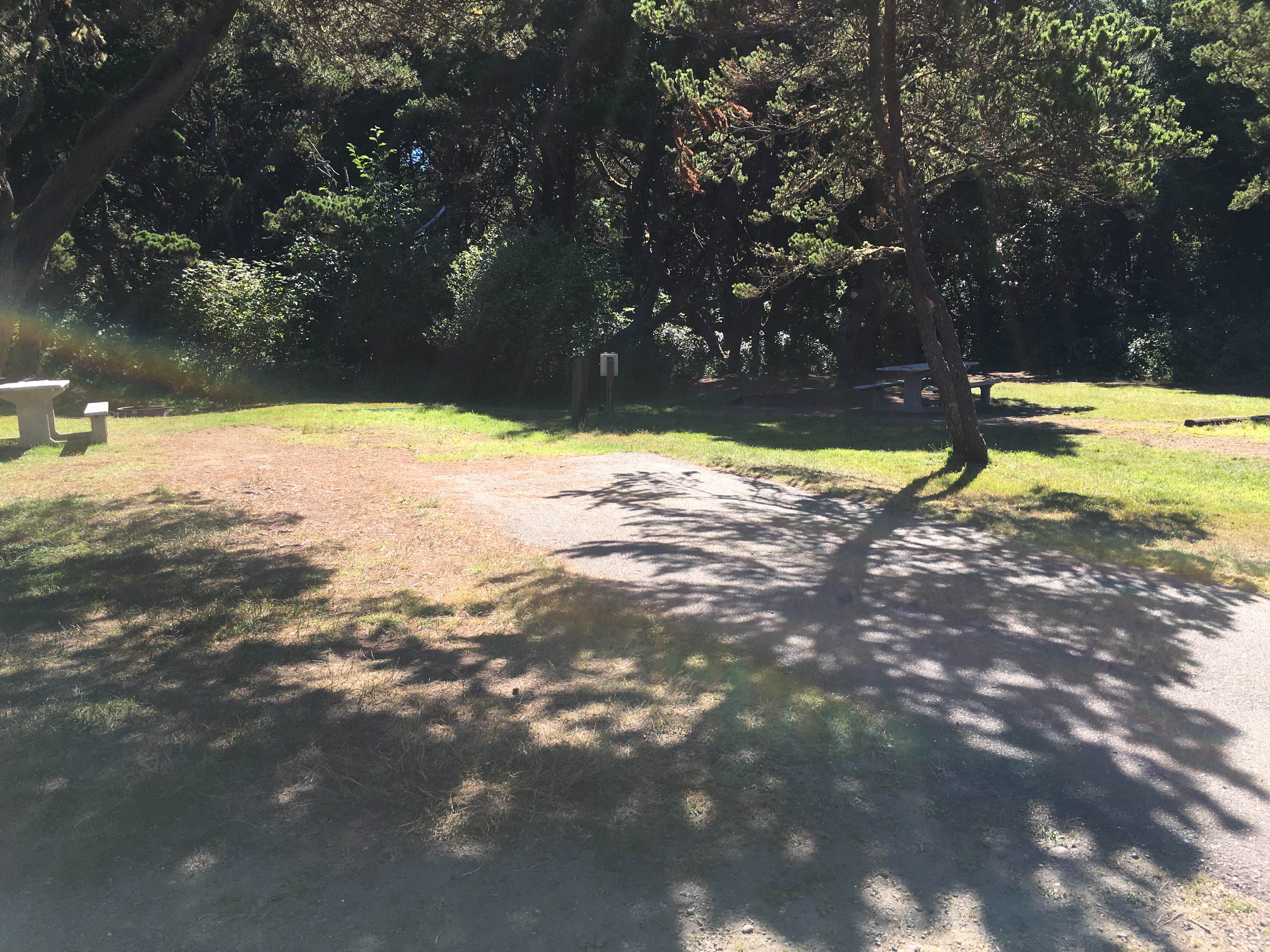 Camper-submitted photo at Ocean City State Park Campground near Ocean Park, WA