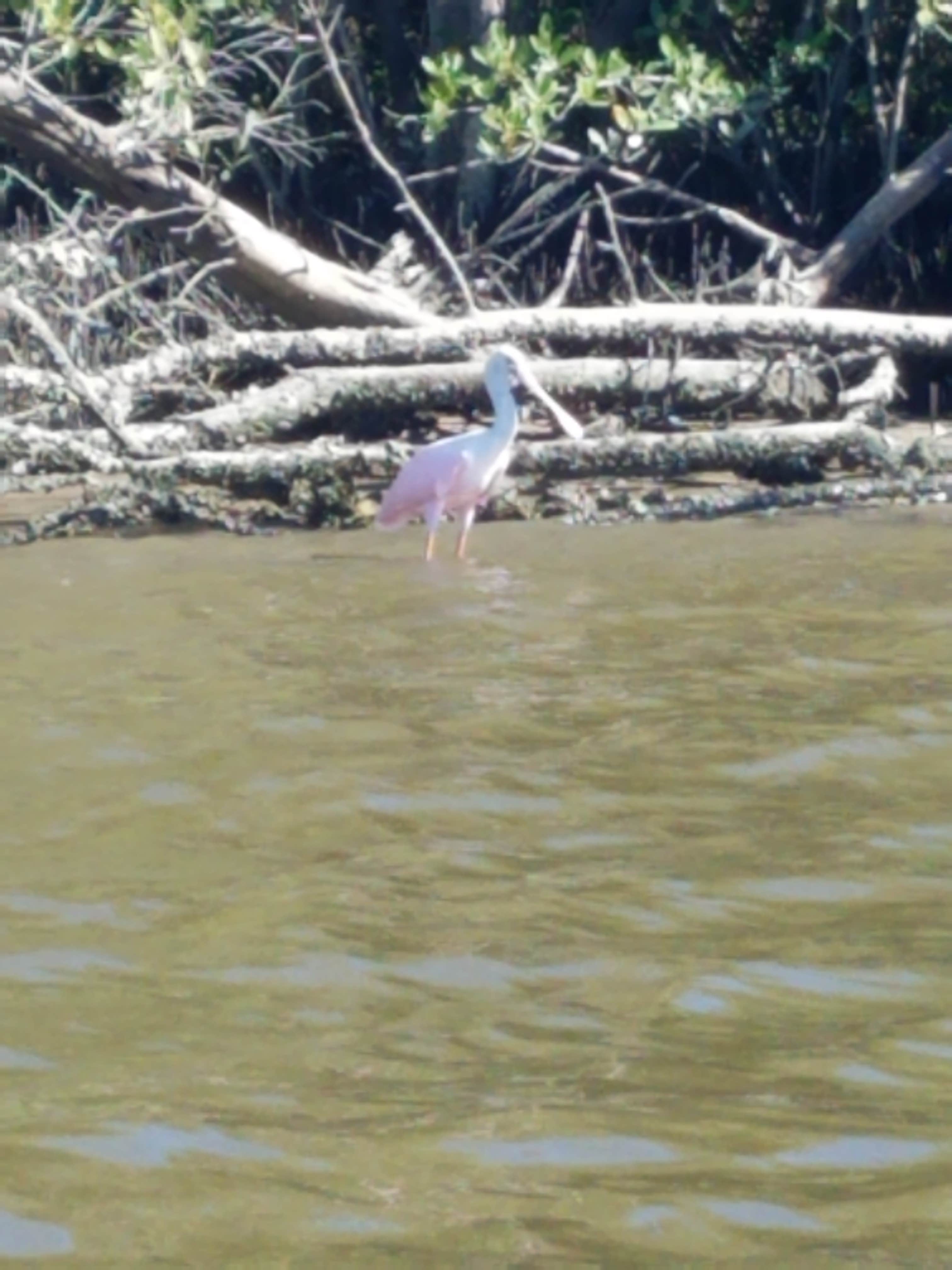 Angler's RV Campgrounds Cedar Key, FL