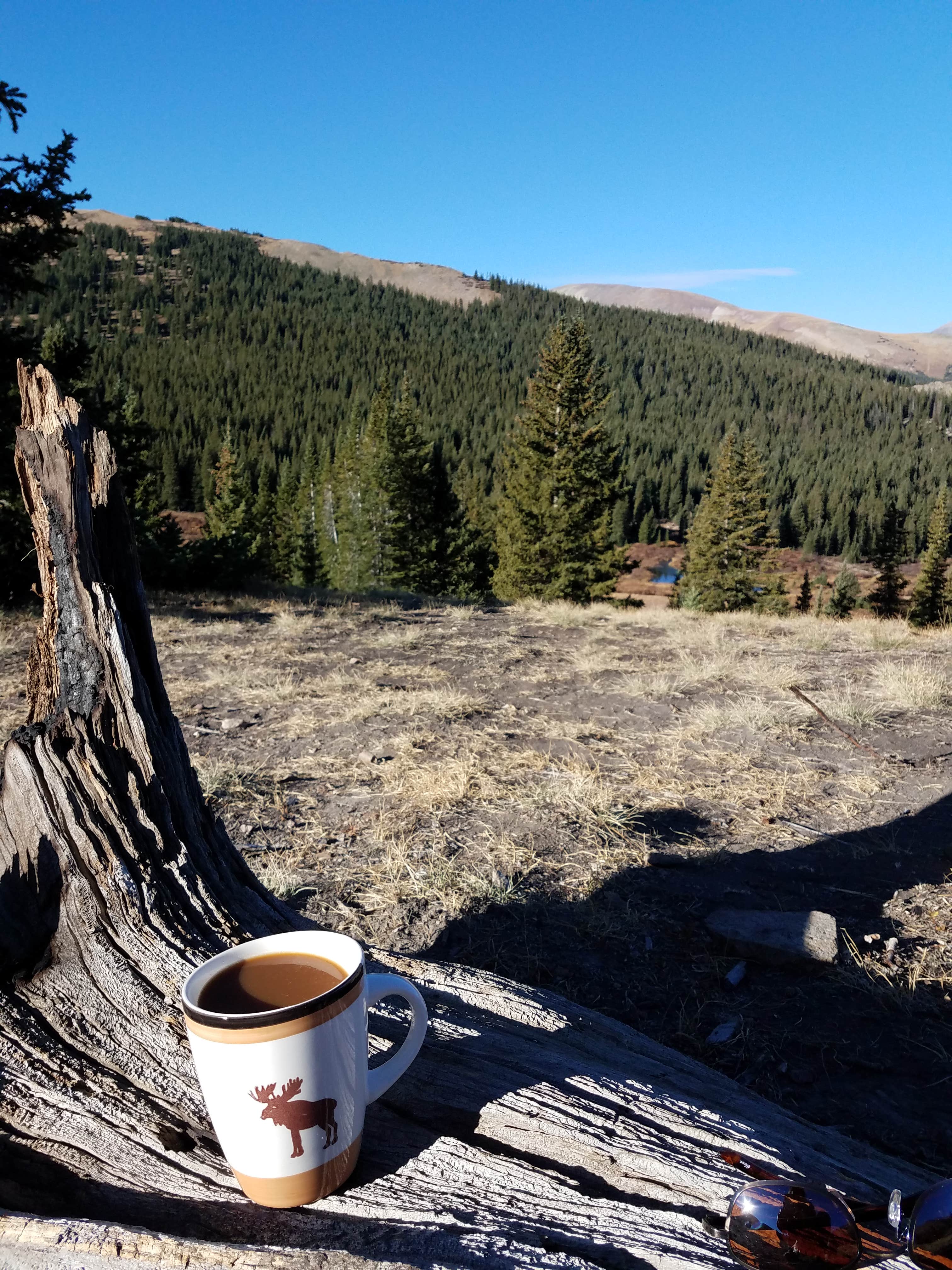 Camper-submitted photo at Boreas Pass Road Designated Dispersed Camping near Red Cliff, CO