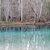 Review photo of Gilchrist Blue Springs State Park Campground by Denny S., January 19, 2023