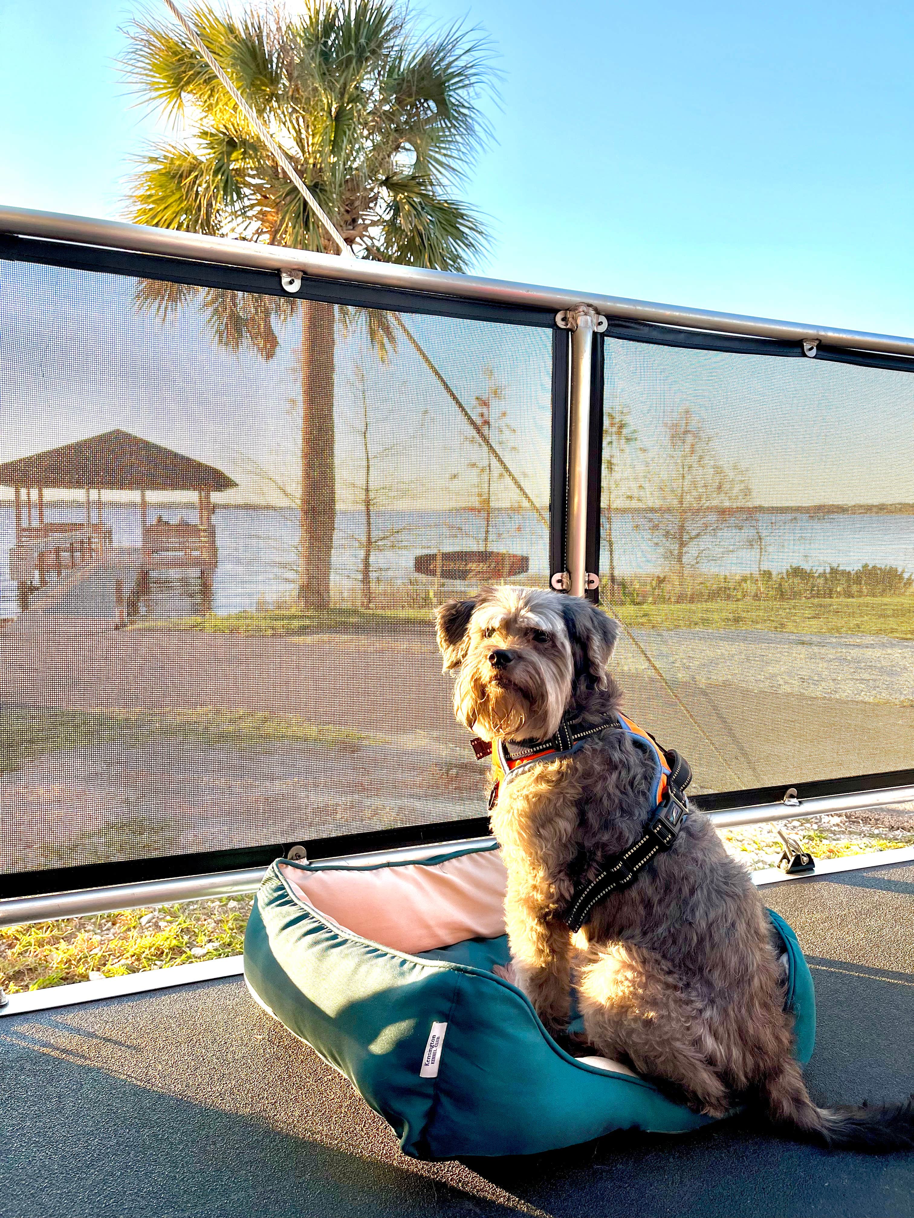 Richello M.'s photo of camping with pets at Hide-A-Way Harbor RV Park near Clermont, FL