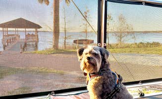 Richello M.'s photo of camping with pets at Hide-A-Way Harbor RV Park near Webster, FL