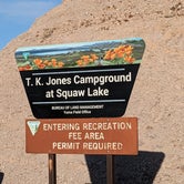 Review photo of T.K. Jones Campground at Squaw Lake by Greg L., January 19, 2023