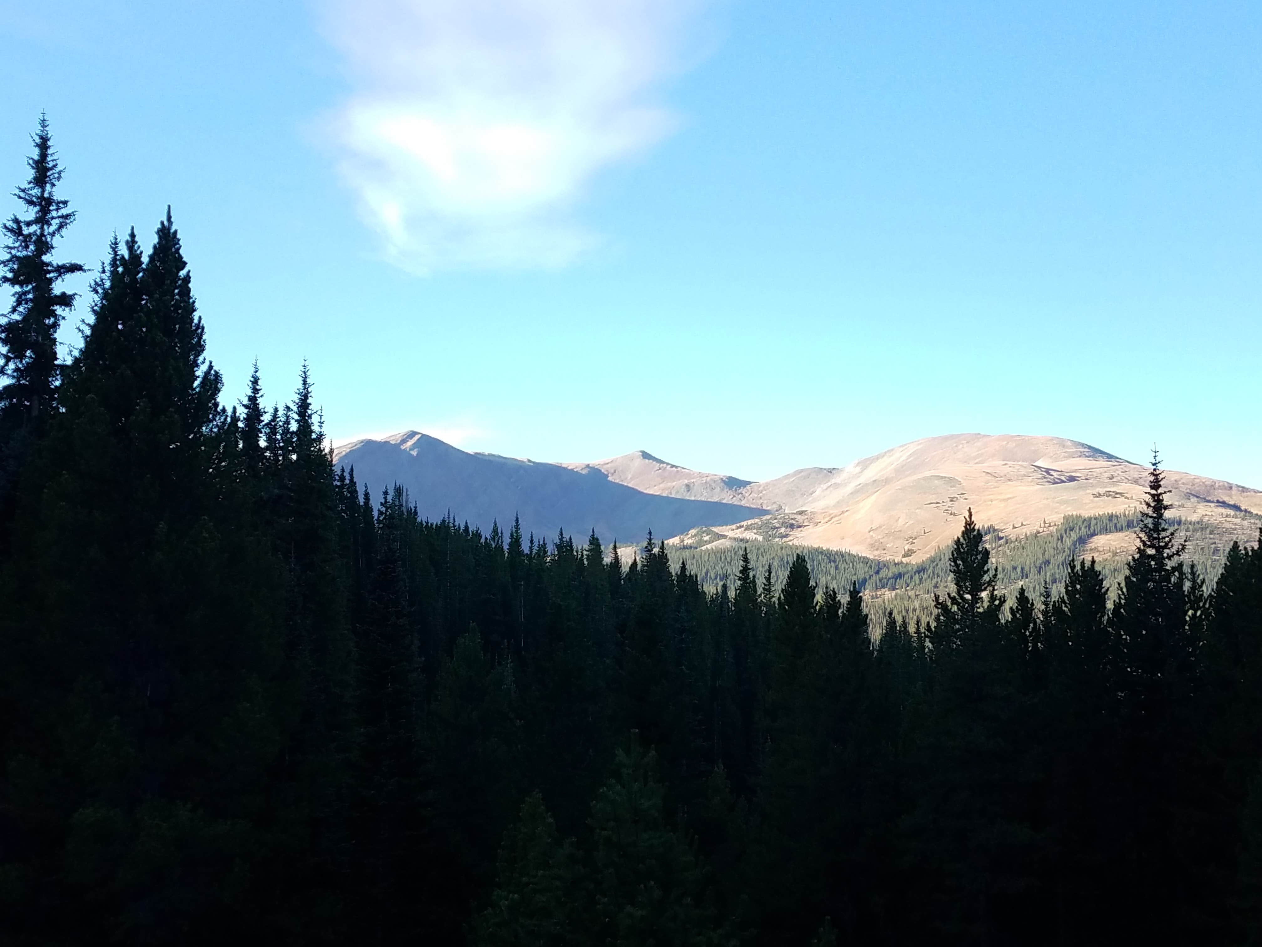 Camper submitted image from Boreas Pass Road Designated Dispersed Camping - 2