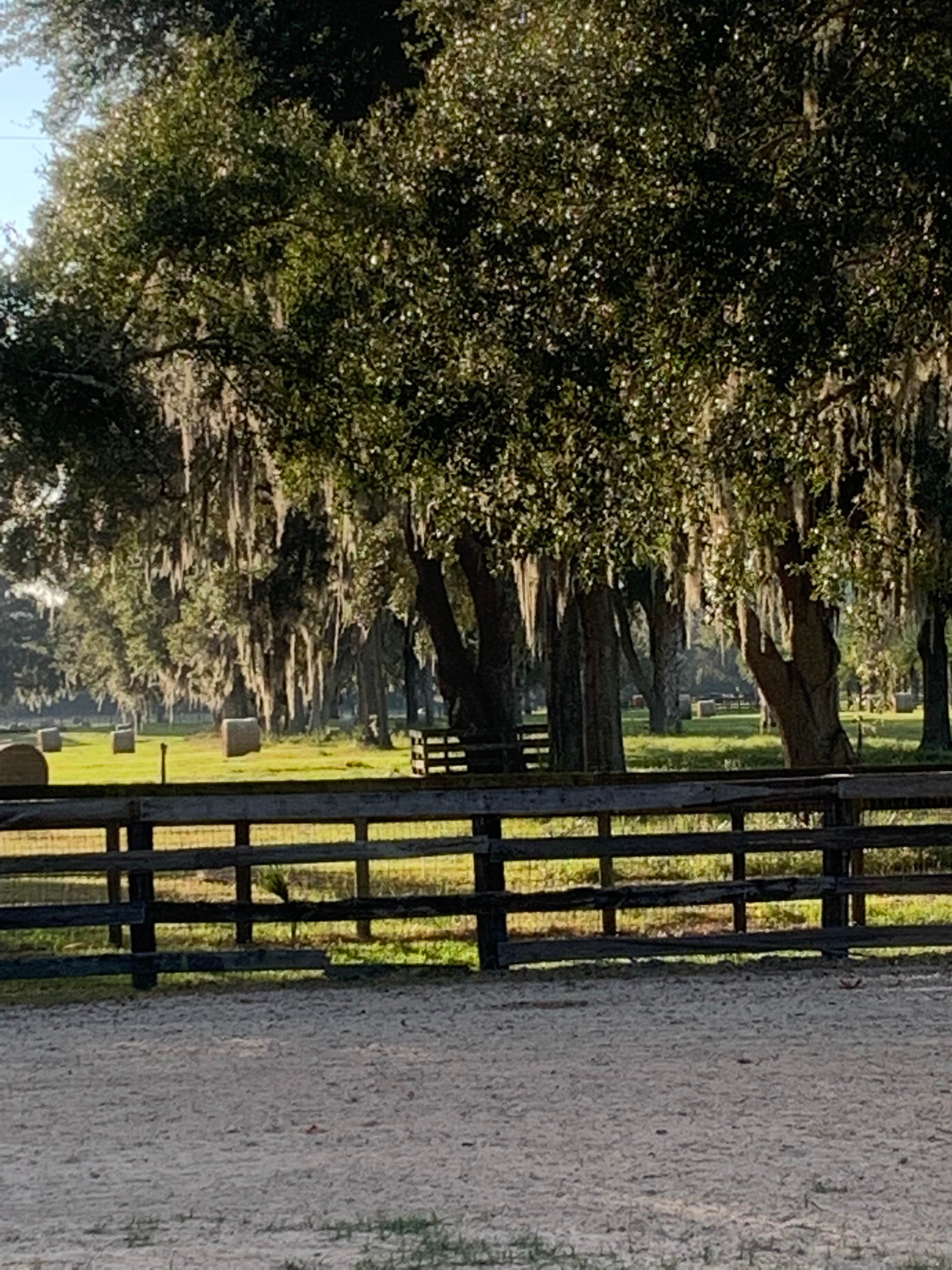 Camping near Dorado Oaks Equestrian Center: The Rocking Jway, Anthony, Florida