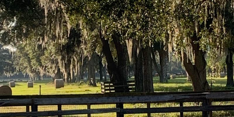 Camper submitted image from The Rocking Jway