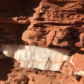 Review photo of Fortress Cliff Primitive — Palo Duro Canyon State Park by Sallie H., September 28, 2018