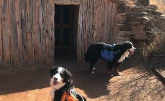 Sallie H.'s photo of camping with pets at Fortress Cliff Primitive — Palo Duro Canyon State Park near Amarillo, TX