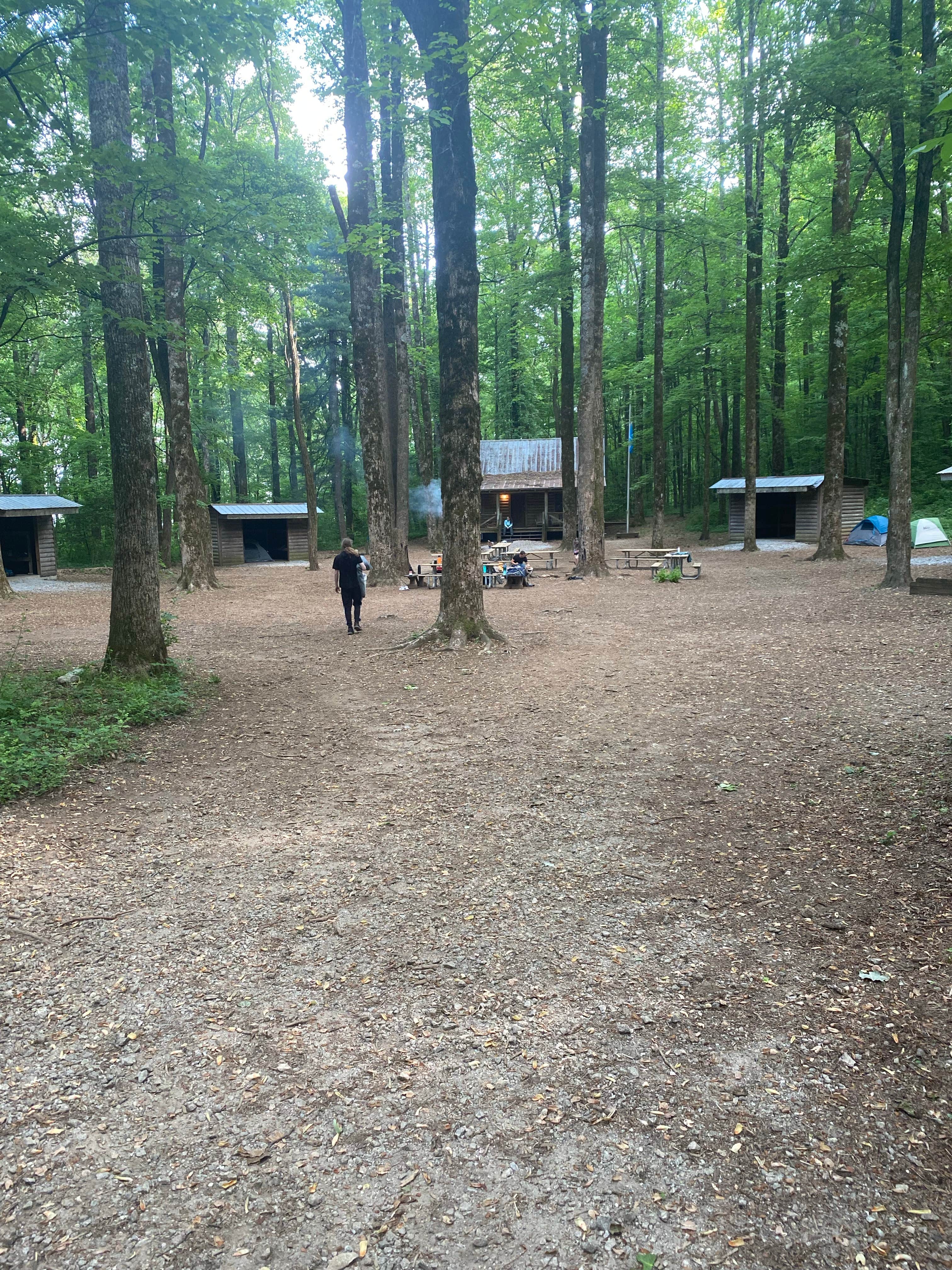 Lily H.'s photo at Black Rock Mountain State Park Campground near Rabun Gap, GA