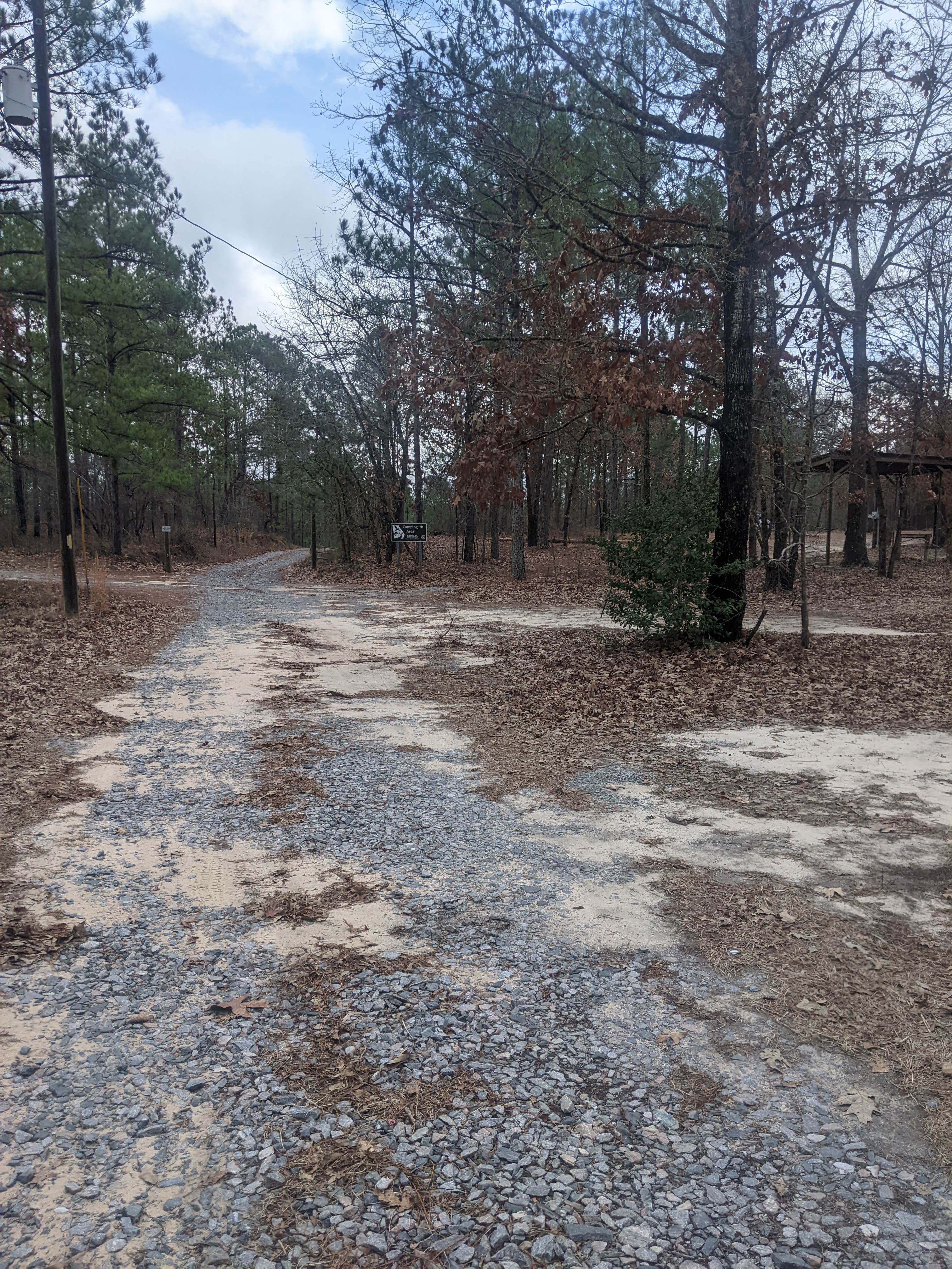 Camper submitted image from Almo Tract WMA - 2
