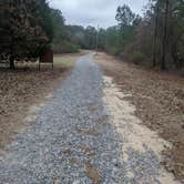Review photo of Almo Tract WMA by Josh W., January 19, 2023