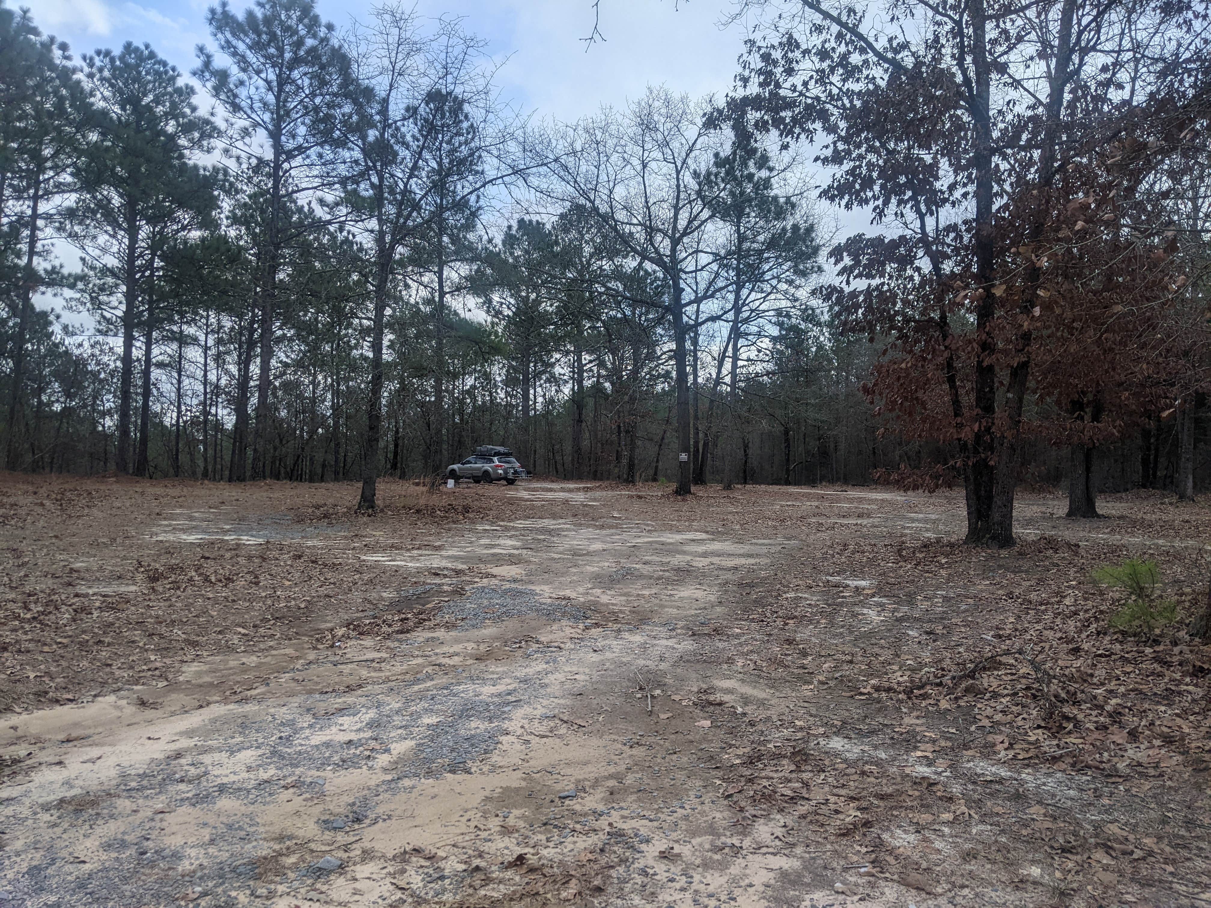Camper submitted image from Almo Tract WMA - 2