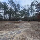 Review photo of Almo Tract WMA by Josh W., January 19, 2023