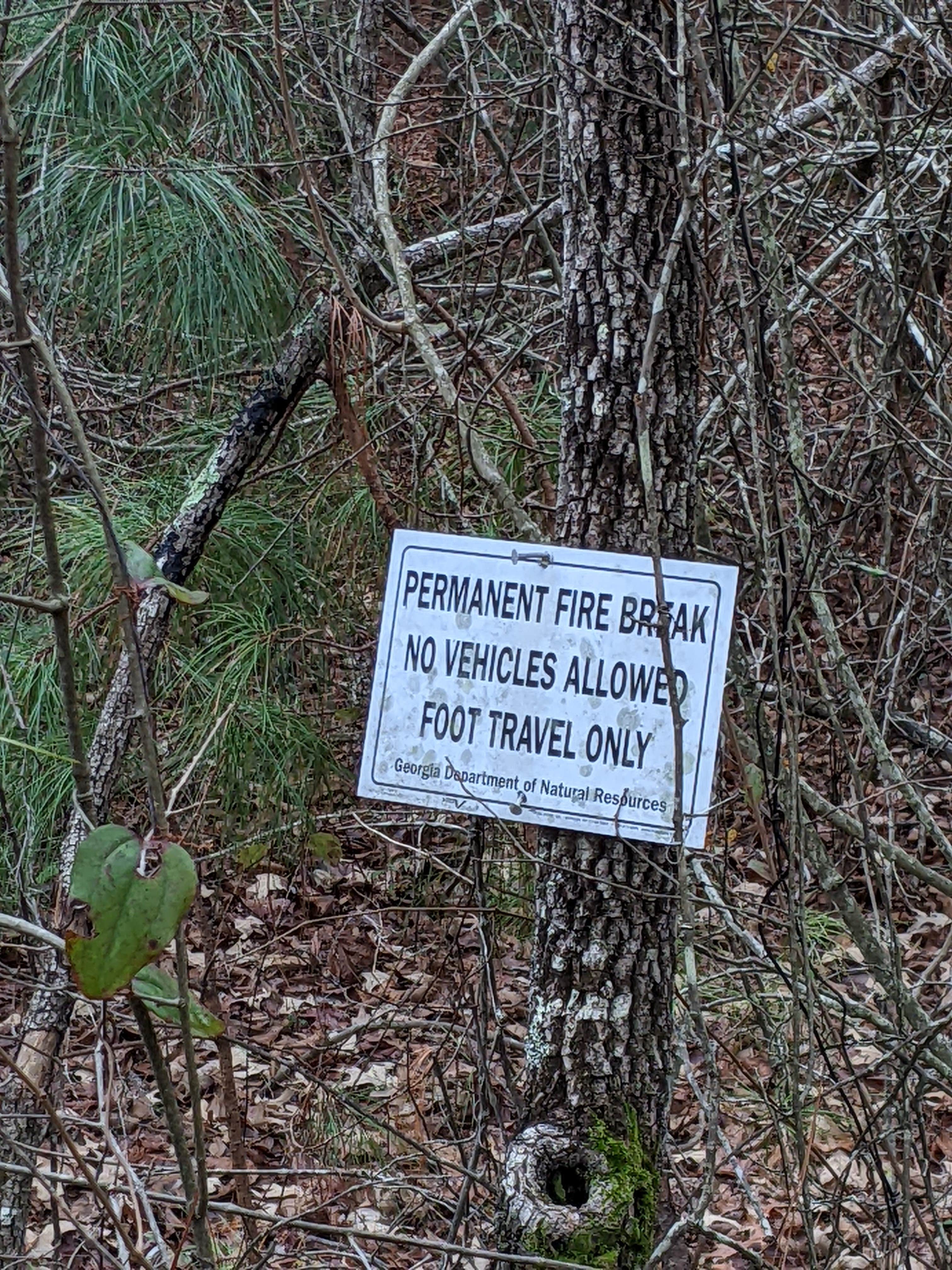 Camping near Ramsey RV Park: Almo Tract WMA, Waverly Hall, Georgia