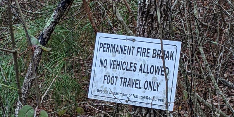 Camper submitted image from Almo Tract WMA