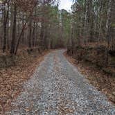 Review photo of Almo Tract WMA by Josh W., January 19, 2023