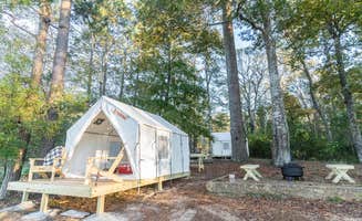 The Dyrt's photo at Tentrr State Park Site - Mississippi Percy Quin State Park - Eastside Lakeview E - Double Camp near Homochitto National Forest