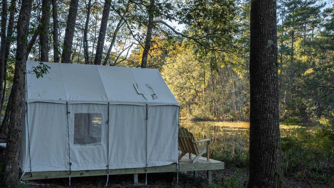 The Dyrt's photo at Tentrr State Park Site - Mississippi Percy Quin State Park - Southside Lakeview G - Single Camp near Liberty, MS
