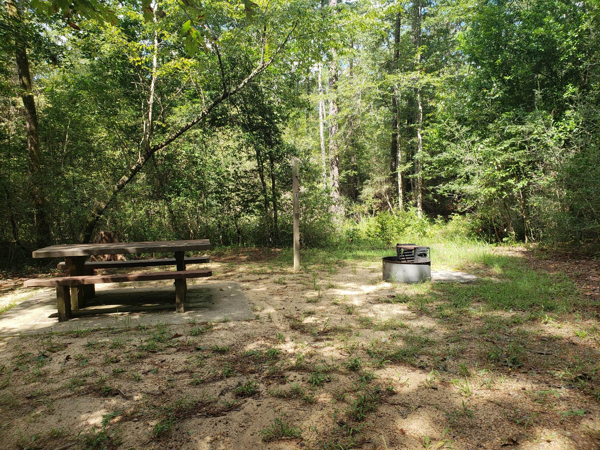 Camper submitted image from Double Lake Recreation Area - 3