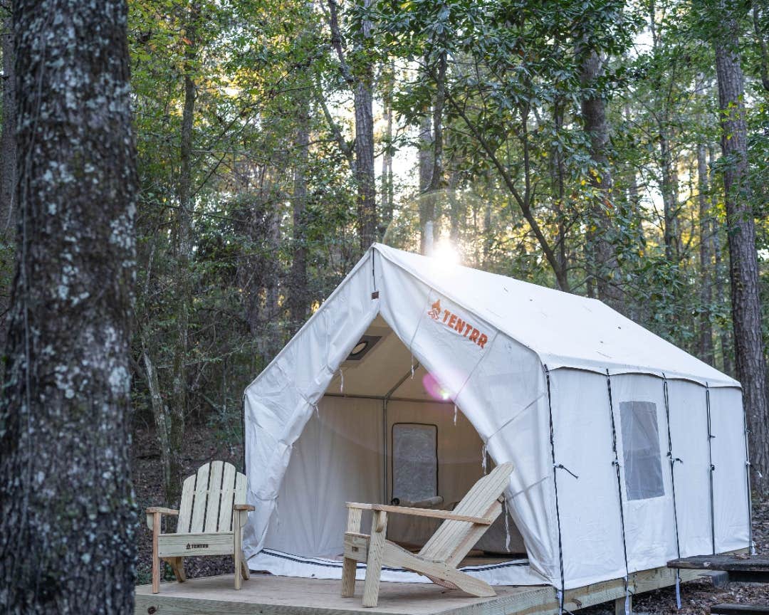 The Dyrt's photo at Tentrr State Park Site - Mississippi Percy Quin State Park - Southside Lakeview H - Single Camp near Holly Springs, MS