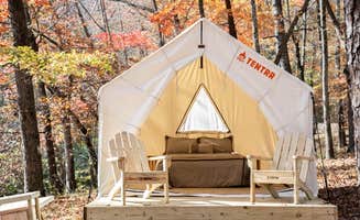 The Dyrt's photo at Tentrr State Park Site - Mississippi JP Coleman State Park - Shady Bluff B - Single Camp near Savannah, TN