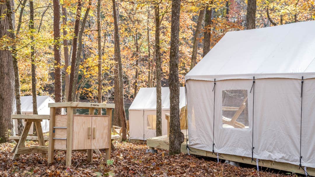 The Dyrt's photo at Tentrr State Park Site - Mississippi JP Coleman State Park - Shady Bluff A - Single Camp near Florence, AL