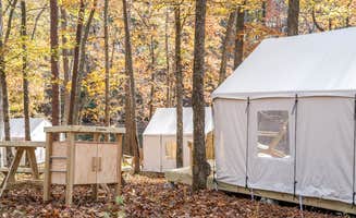 The Dyrt's photo at Tentrr State Park Site - Mississippi JP Coleman State Park - Shady Bluff A - Single Camp near Savannah, TN