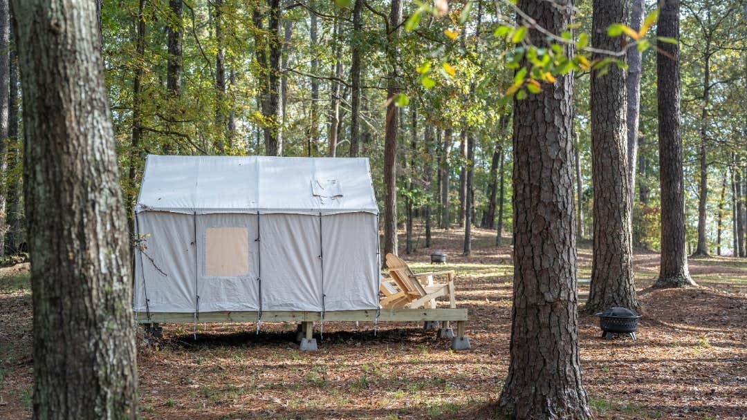 The Dyrt's photo at Tentrr State Park Site - Mississippi Roosevelt State Park - Tall Trees C - Single Camp near Ludlow, MS