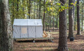 The Dyrt's photo at Tentrr State Park Site - Mississippi Roosevelt State Park - Tall Trees C - Single Camp near Walnut Grove, MS