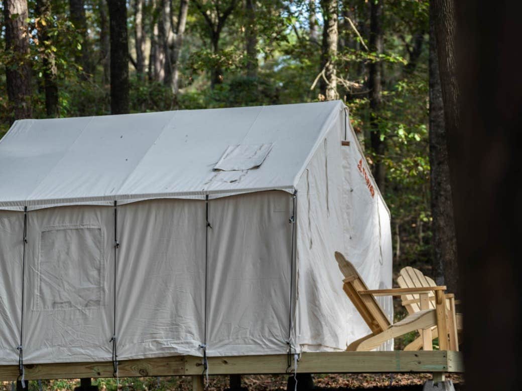 The Dyrt's photo at Tentrr State Park Site - Mississippi Roosevelt State Park - Tall Trees B - Single Camp near Ludlow, MS