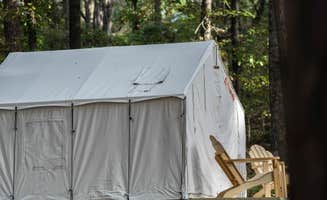 The Dyrt's photo at Tentrr State Park Site - Mississippi Roosevelt State Park - Tall Trees B - Single Camp near Walnut Grove, MS