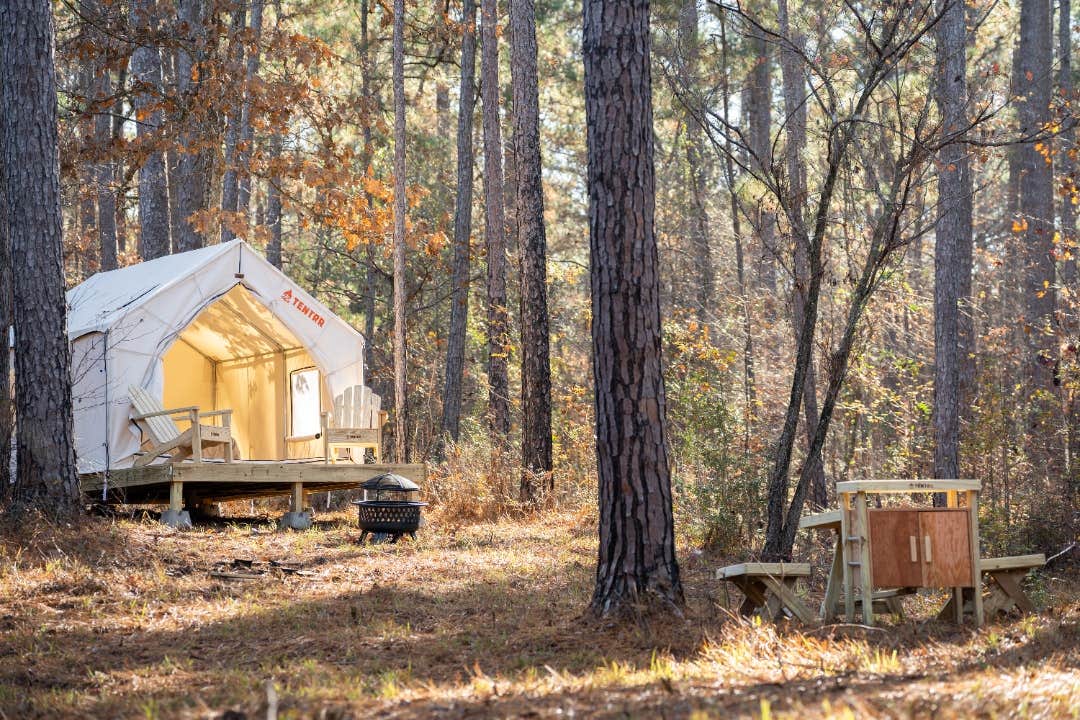 The Dyrt's photo at Tentrr State Park Site - Mississippi Clarkco State Park - Trailside E - Single Camp near Decatur, MS
