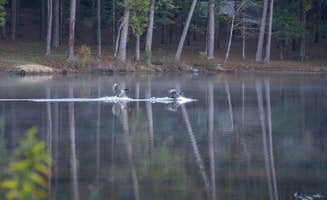 The Dyrt's photo of camping with pets at Tentrr State Park Site - Mississippi Roosevelt State Park - Shadow Lake F - Single Camp near Raymond, MS