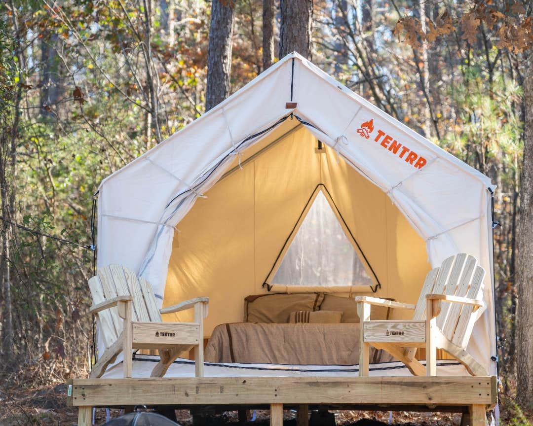 The Dyrt's photo at Tentrr State Park Site - Mississippi Clarkco State Park - Trailside E - Single Camp near Enterprise, MS