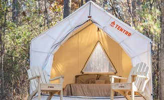 The Dyrt's photo at Tentrr State Park Site - Mississippi Clarkco State Park - Trailside E - Single Camp near Silas, AL