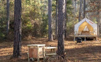 The Dyrt's photo at Tentrr State Park Site - Mississippi Clarkco State Park - Trailside E - Single Camp near Enterprise, MS