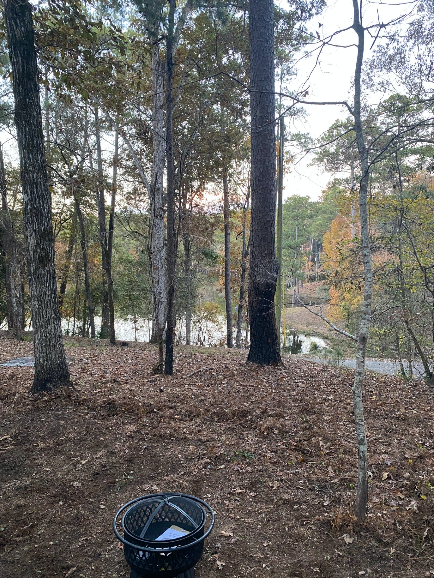Camper submitted image from Tentrr State Park Site - Mississippi Clarkco State Park - Trailside F - Single Camp - 2
